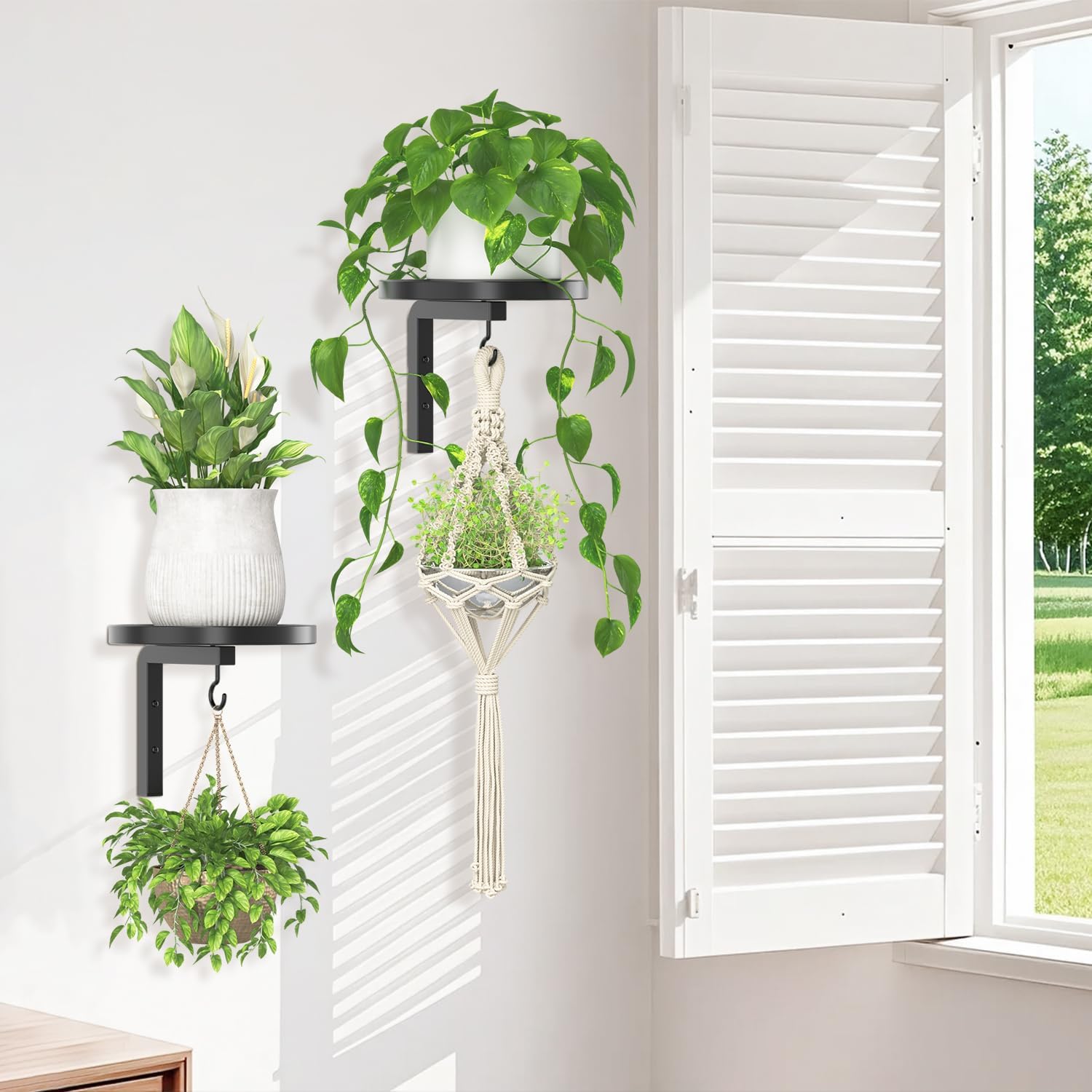 Thumbnail 6 de iDavosic.ly Plant Wall Hanger Set of 2, Black Powder-Coated Metal with Hooks