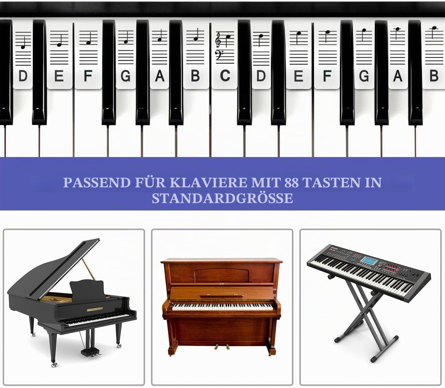 Detalle de MUYOS Abnehmbare Klaviertastatur-Notenetiketten für 88 Tasten Vollgröße