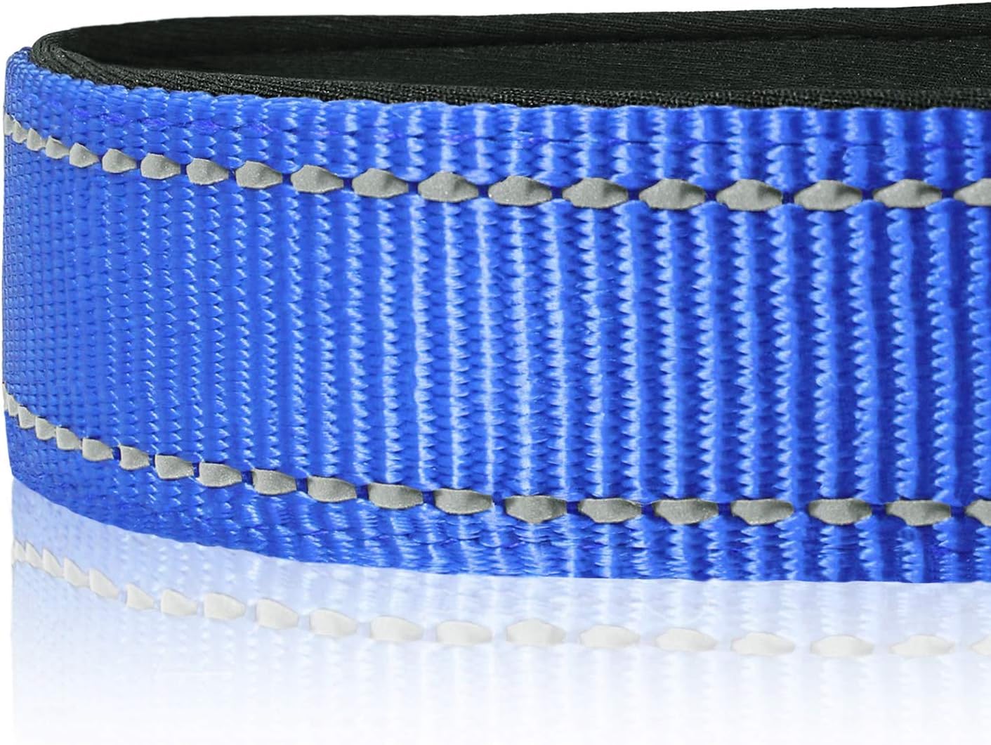 Detalle de HEELE Hundehalsband aus Nylon mit reflektierenden Band, Neopren gepolstert – Königsblau, Größe M (34–52 cm)