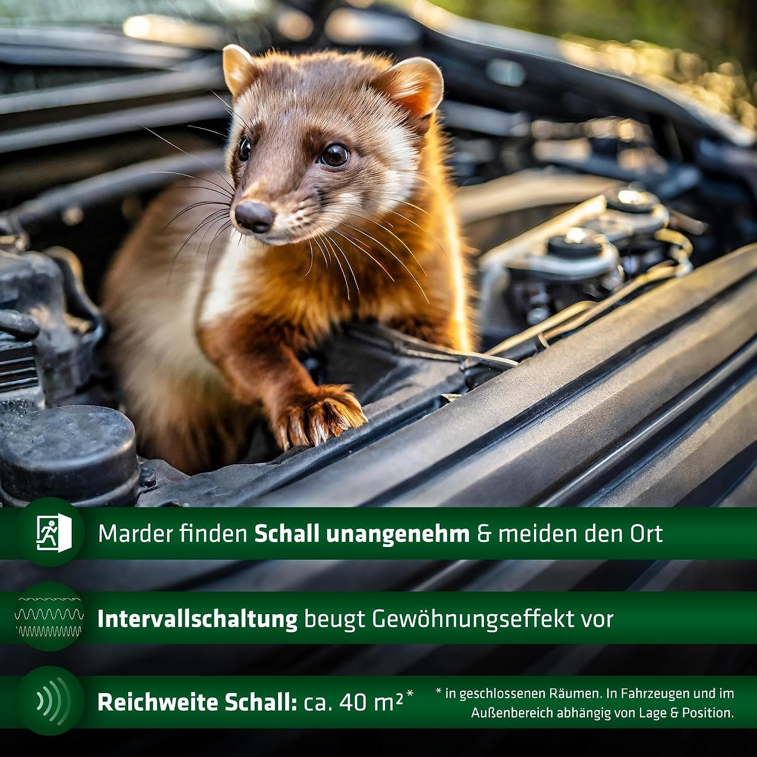 Detalle 2 de GARDIGO Marder-Frei Mobil Marderschreck
