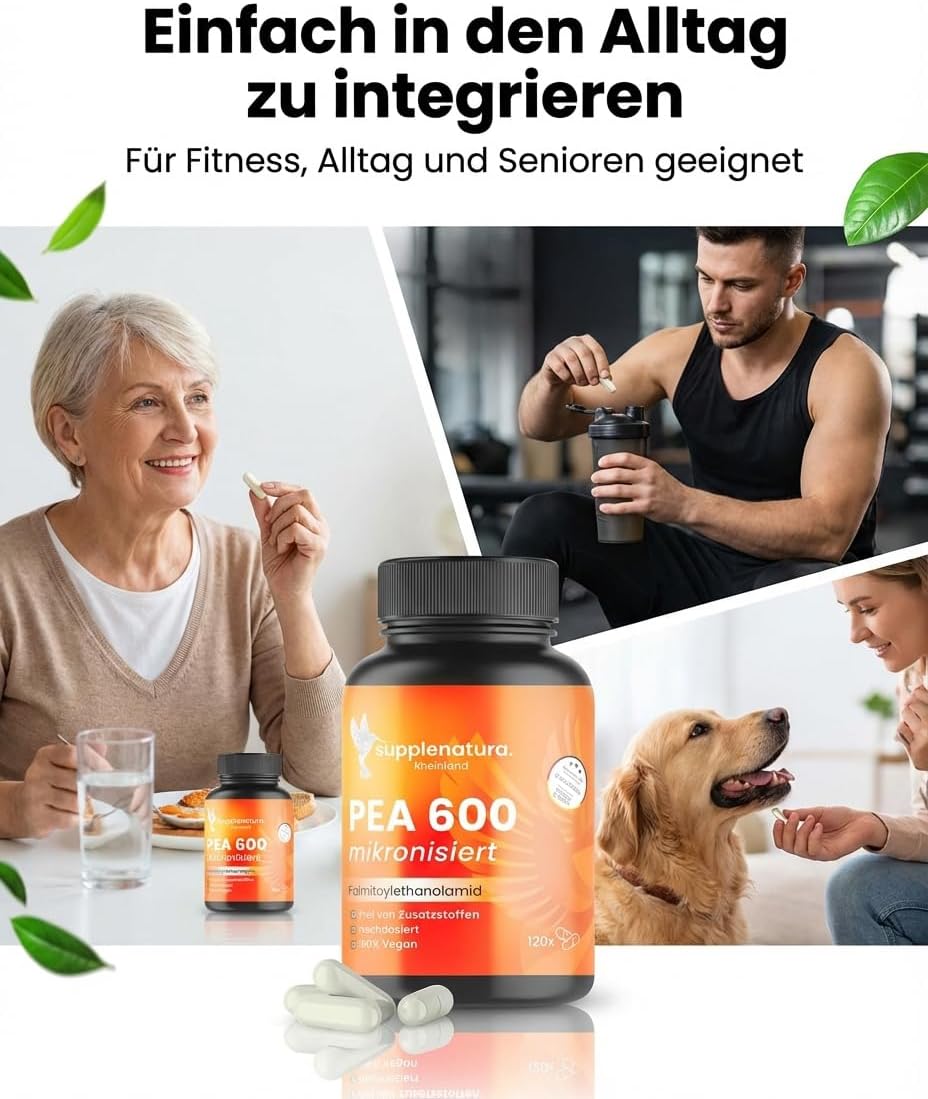 Detalle 2 de PEA Kapseln | Mikronisiert 1200 mg Palmitoylethanolamid pro Tagesdosis – 120 Kapseln | 100% Pure Pea, laborgeprüft, hergestellt in Deutschland