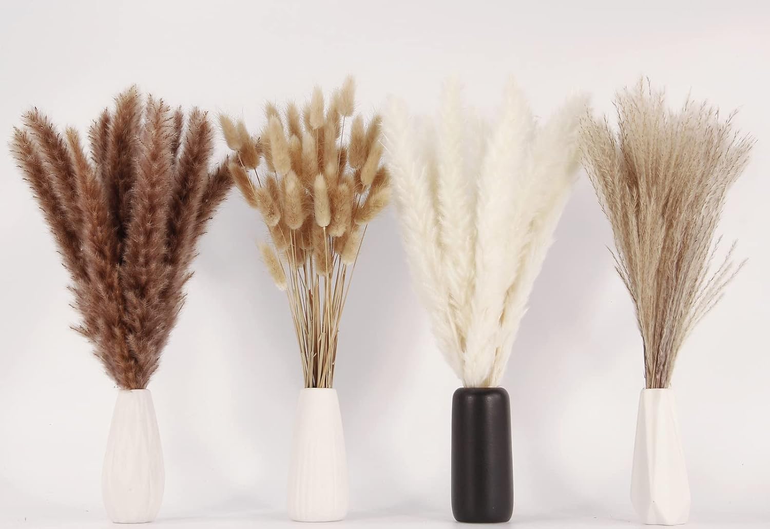 Detalle de ANPROOR SD-1 Dried Pampas Grass Bouquet, 100 Stems, 17-Inch White and Brown