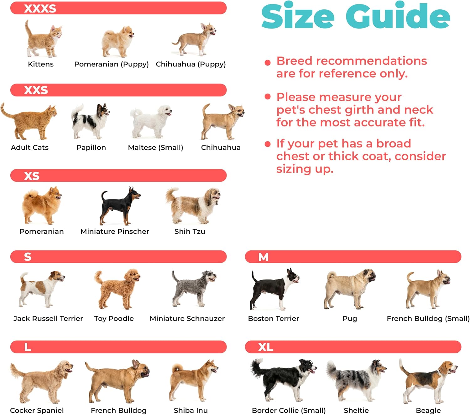 Thumbnail 6 de Voyager Dog Vest Harness, Large