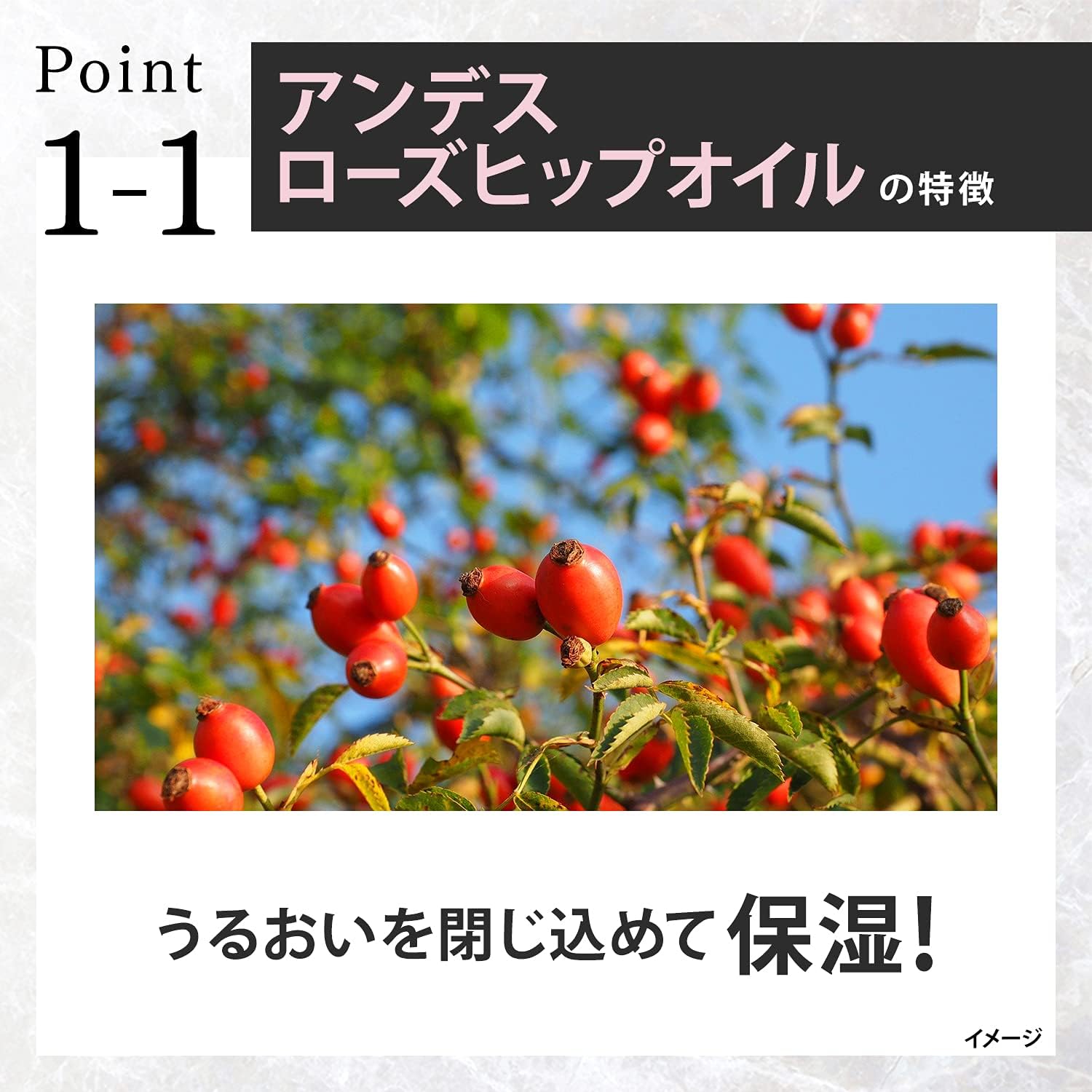 Thumbnail 2 de LUX プレミアム ボタニフィーク ダメージリペア トリートメント 詰替え用 700g
