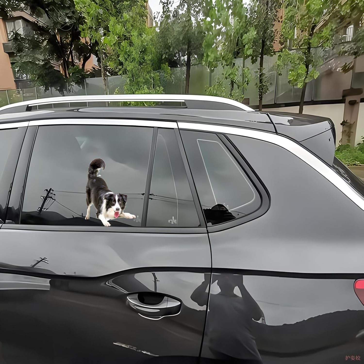 Thumbnail 1 de Border Collie Aufkleber 15 cm Reflektierend