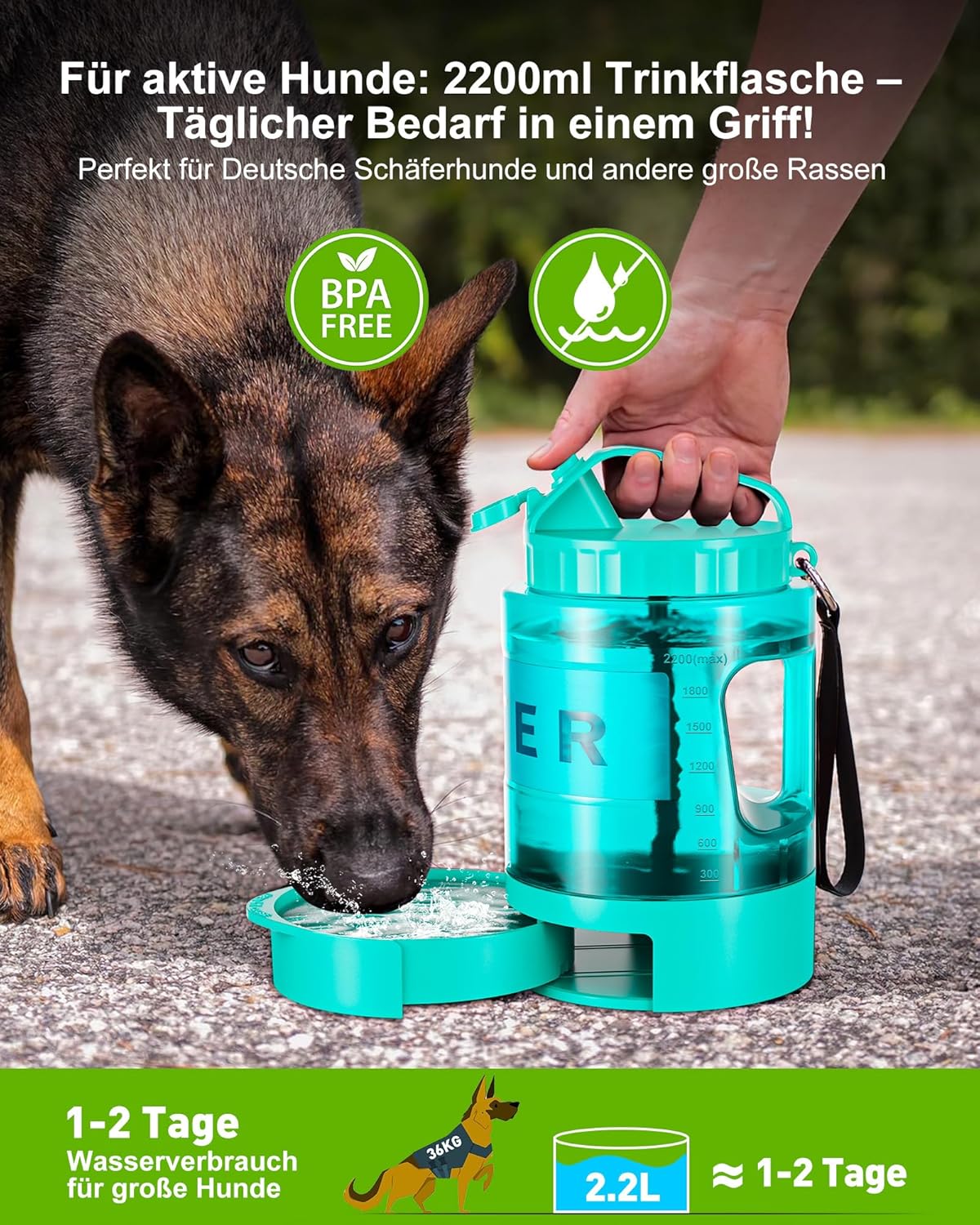 Thumbnail 1 de lesotc 2200 ml Trinkflasche für Hunde – tragbare XXL-Wasservorratsflasche für unterwegs (Mintgrün)