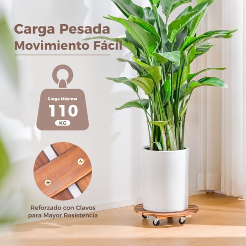 Thumbnail 5 de Bamworld Soporte móvil para plantas con base de 30 cm (pack 2) – plataforma rodante para macetas pesadas