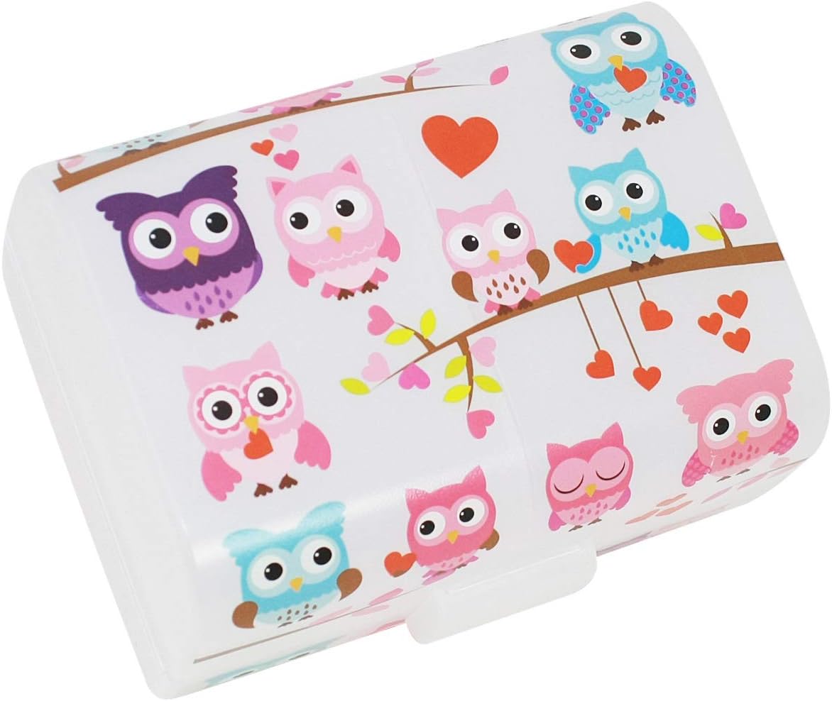 com-four® Brotdose im Vintage-Stil mit Deckel – Lunchbox mit 3 Fächern (17 x 13 x 10 cm) – Eulen-Design