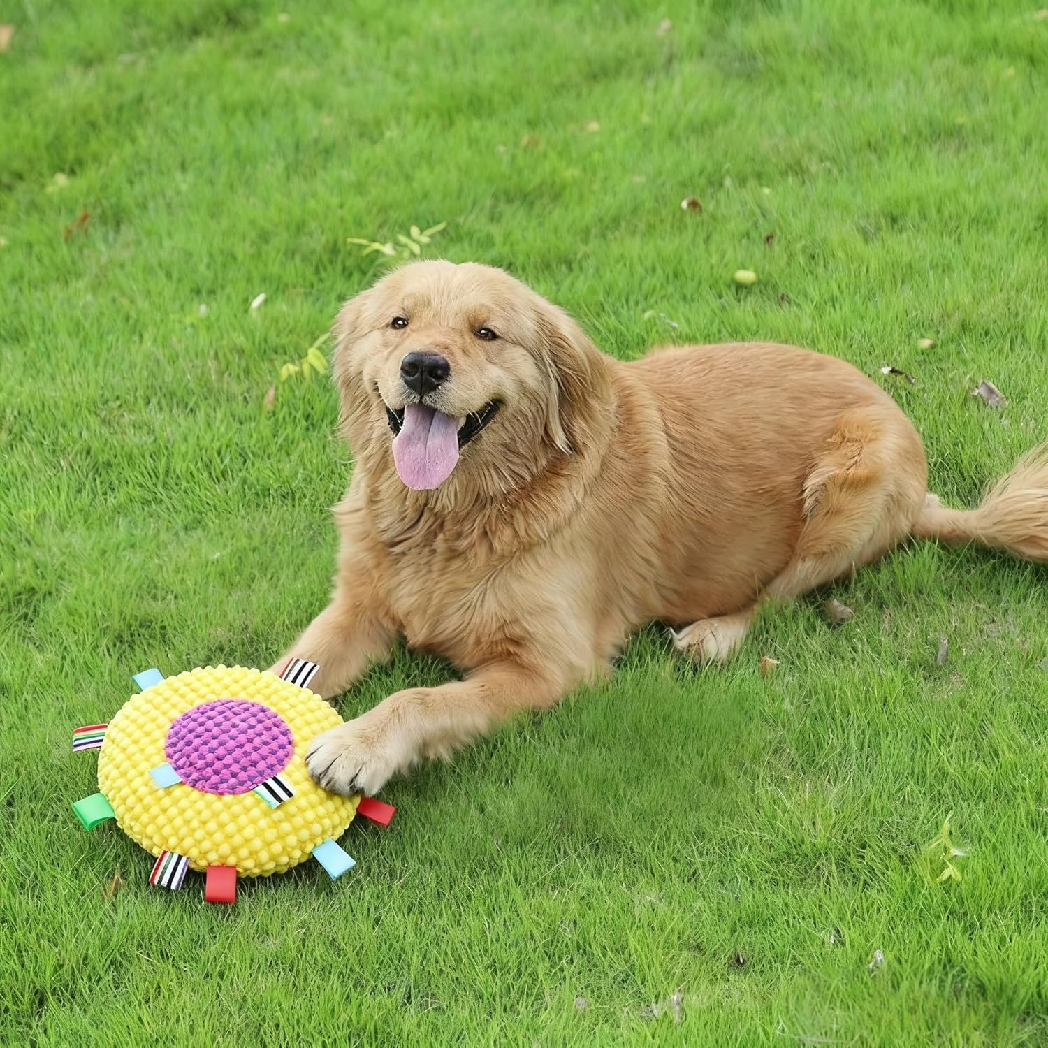 Thumbnail 3 de Whoolon Dog Toy Set for Small–Medium Dogs 🐶