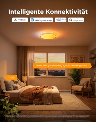 Detalle 2 de Govee RGBICWW Deckenlampe Pro55W: 4800 lm, 45,5 cm Durchmesser, dimmbar