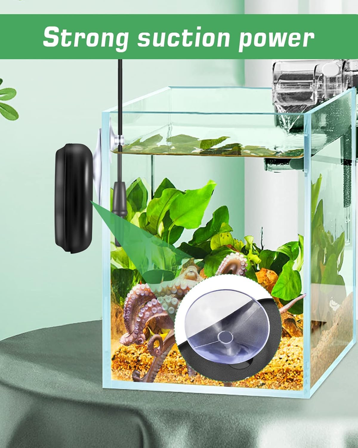 Thumbnail 5 de Digital aquarium thermometer LCD, 58×38mm
