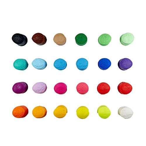 Detalle de Play-Doh – 24 pots de pâte à modeler multicolore, 84 g chacun