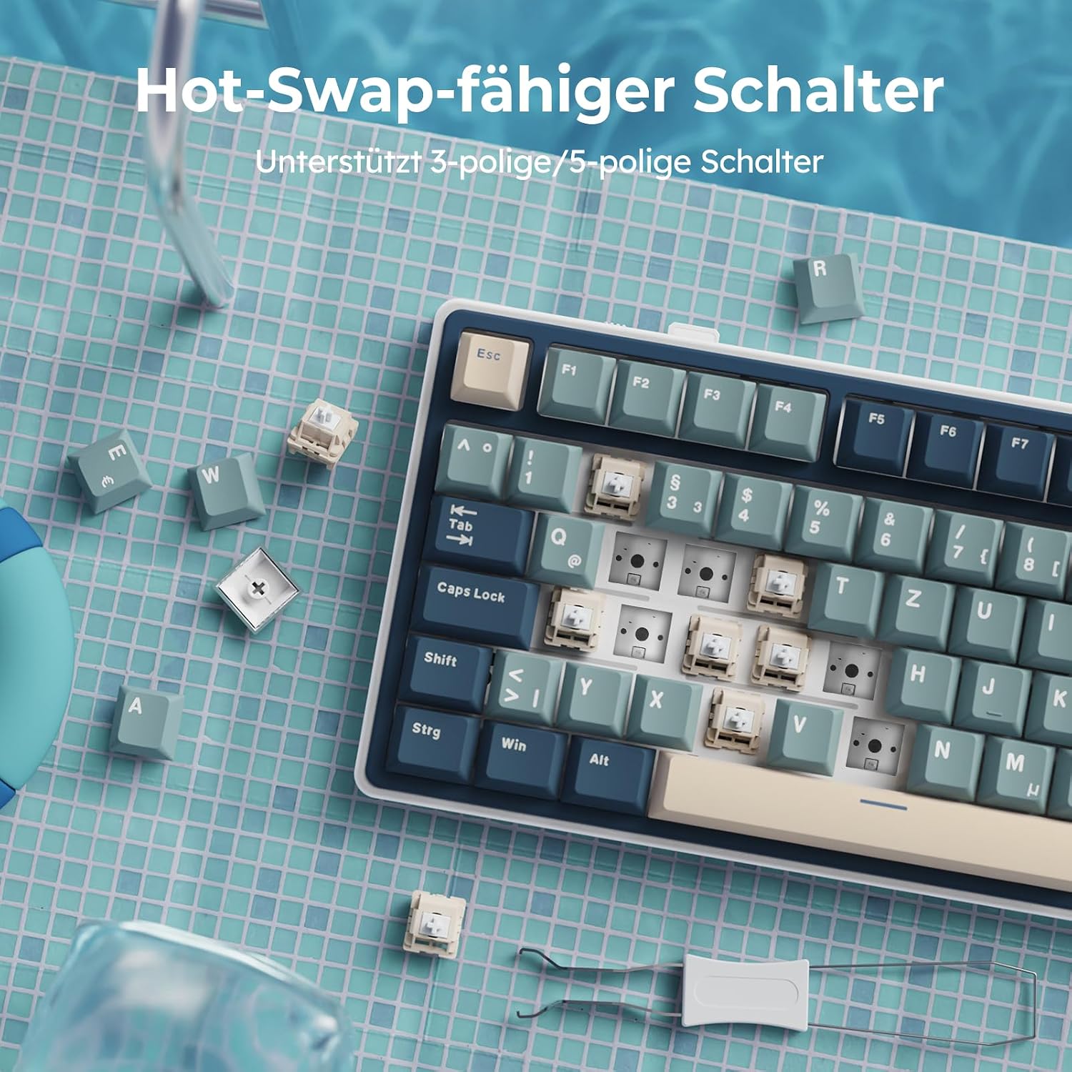 Thumbnail 5 de RK ROYAL KLUDGE R75 mechanische Tastatur 75% ⌨