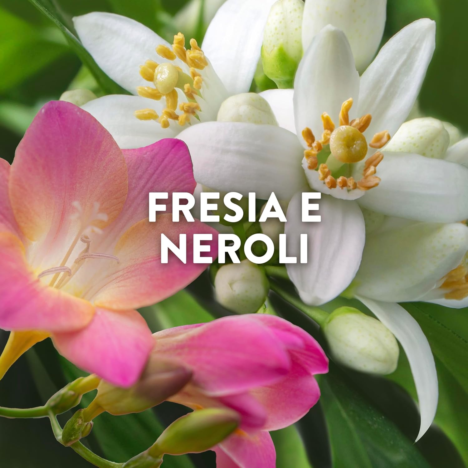 Thumbnail 2 de Lenor Ammorbidente Concentrato Portofino 440 lavaggi