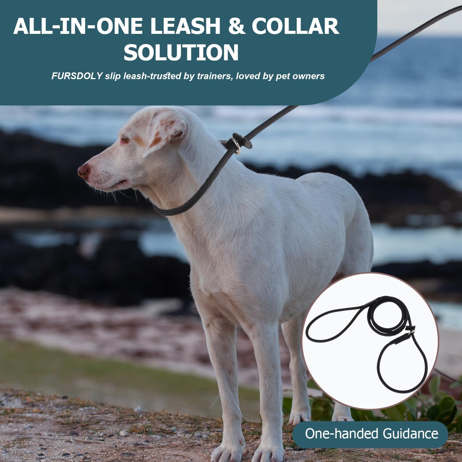Thumbnail 6 de Slip Lead Dog Leash, 4 FT