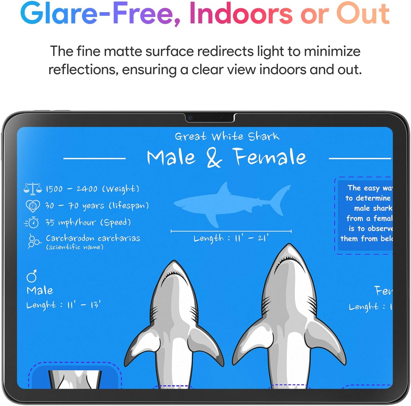 Thumbnail 5 de KCT 2-Pack Paperfeel Matte Tempered Glass Screen Protector for iPad Air 13-Inch (M4/M3/M2)