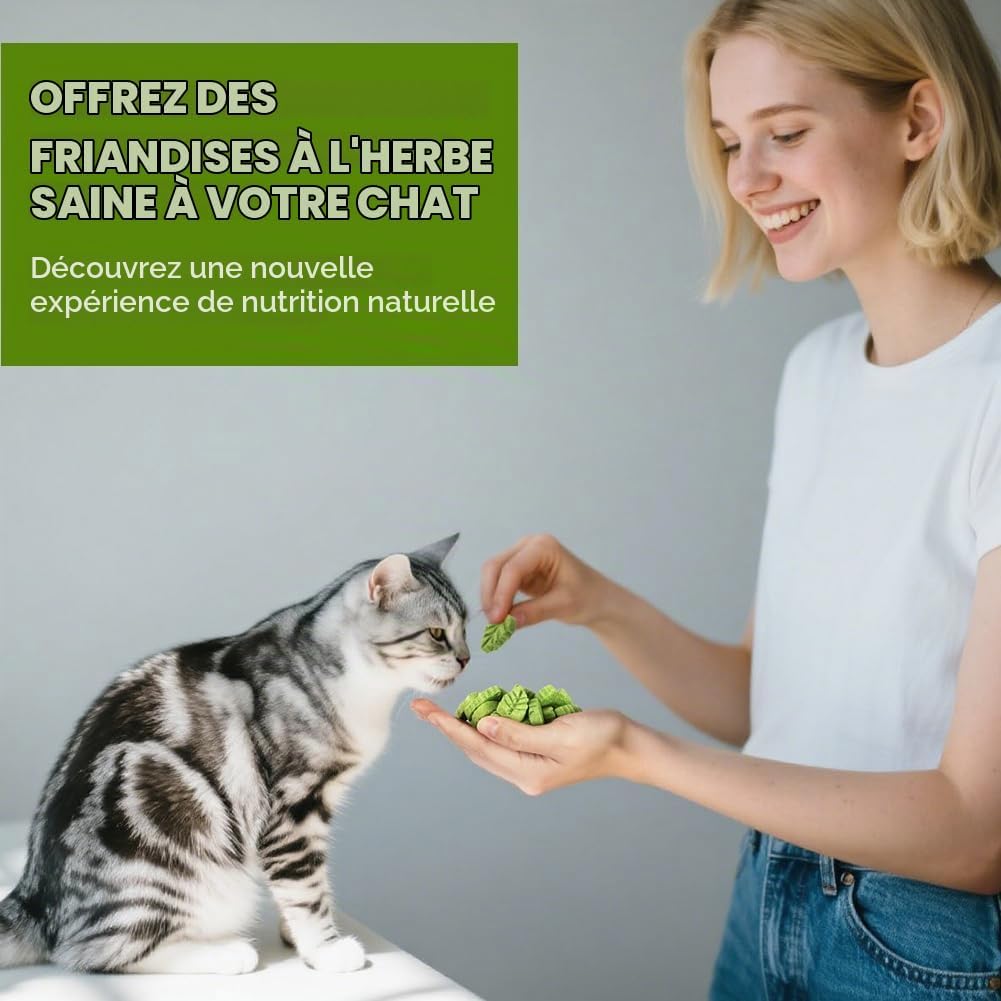 Detalle de OSDUE gevriesdroogde kattensnack met kip en kattenkruid in blaadjesvorm
