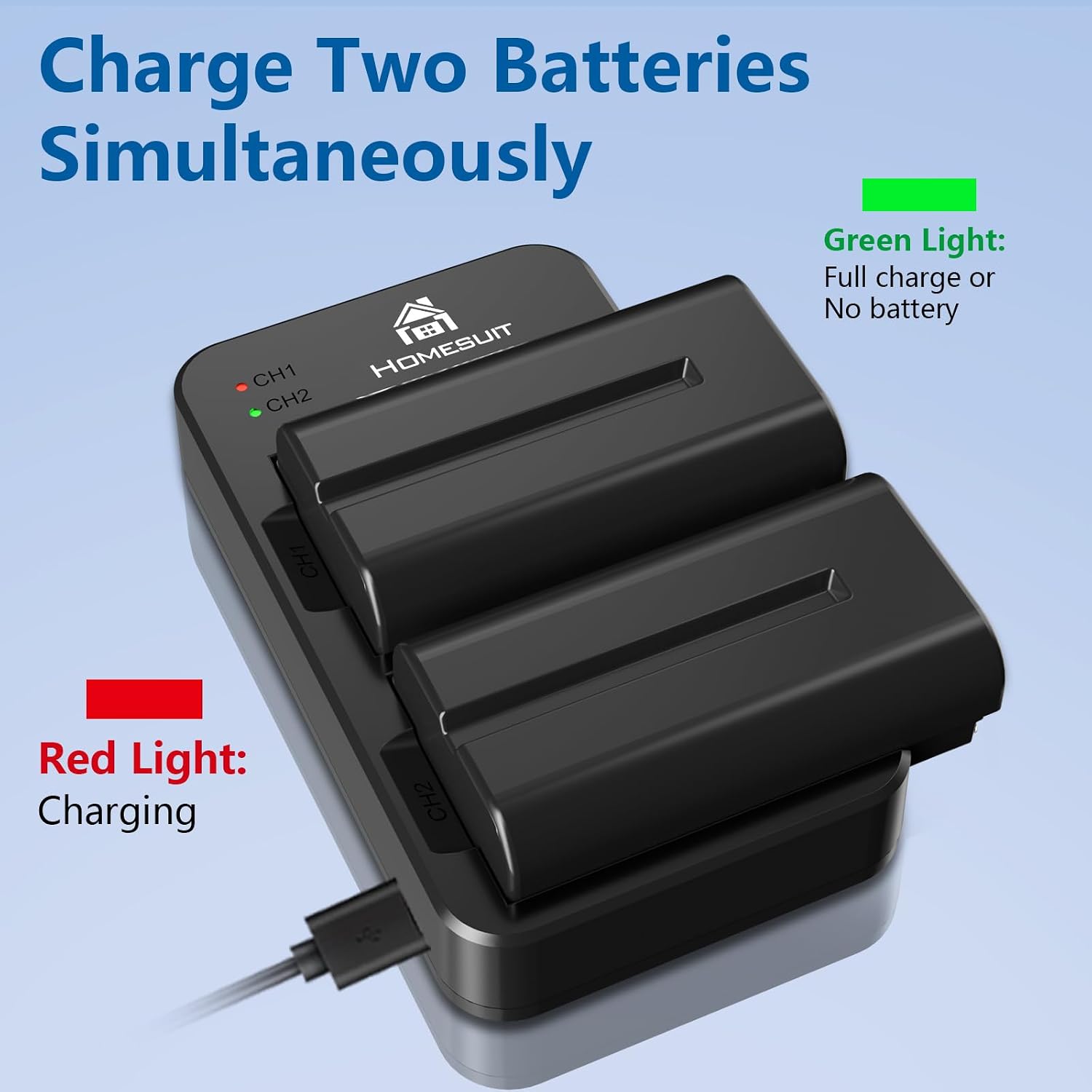 Detalle de Homesuit NP-F550 2900mAh battery kit