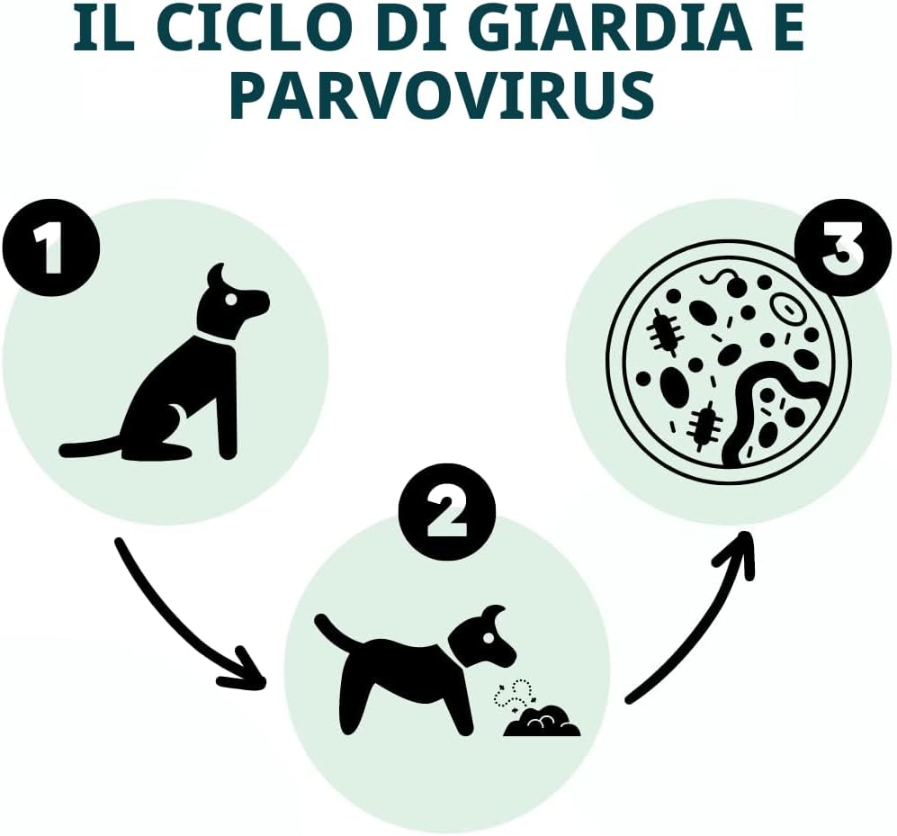Detalle 1 de AccuDoctor Test Giardia e Parvovirus 2X