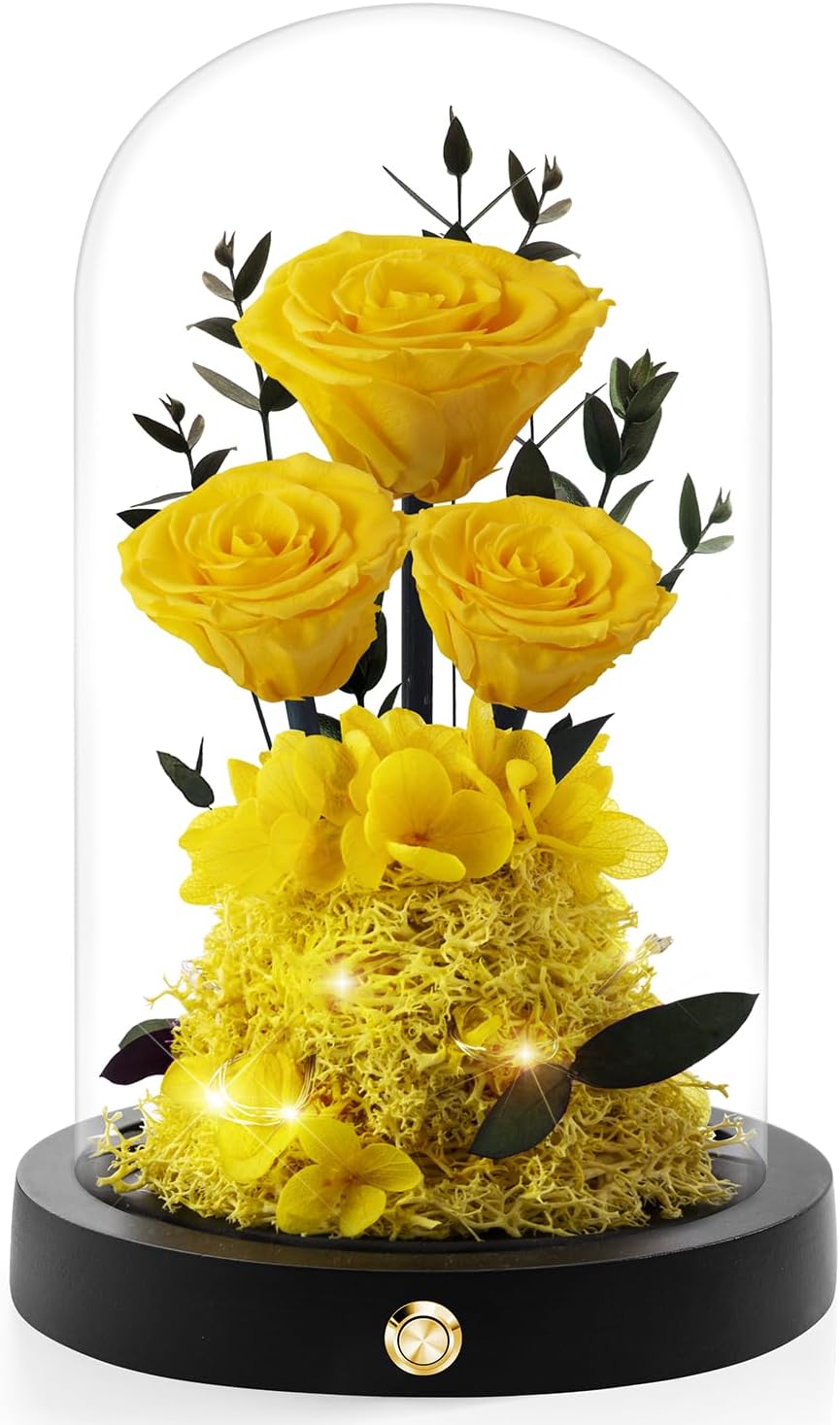 Thumbnail 5 de Agrul Preserved Roses in Glass Dome 🌹