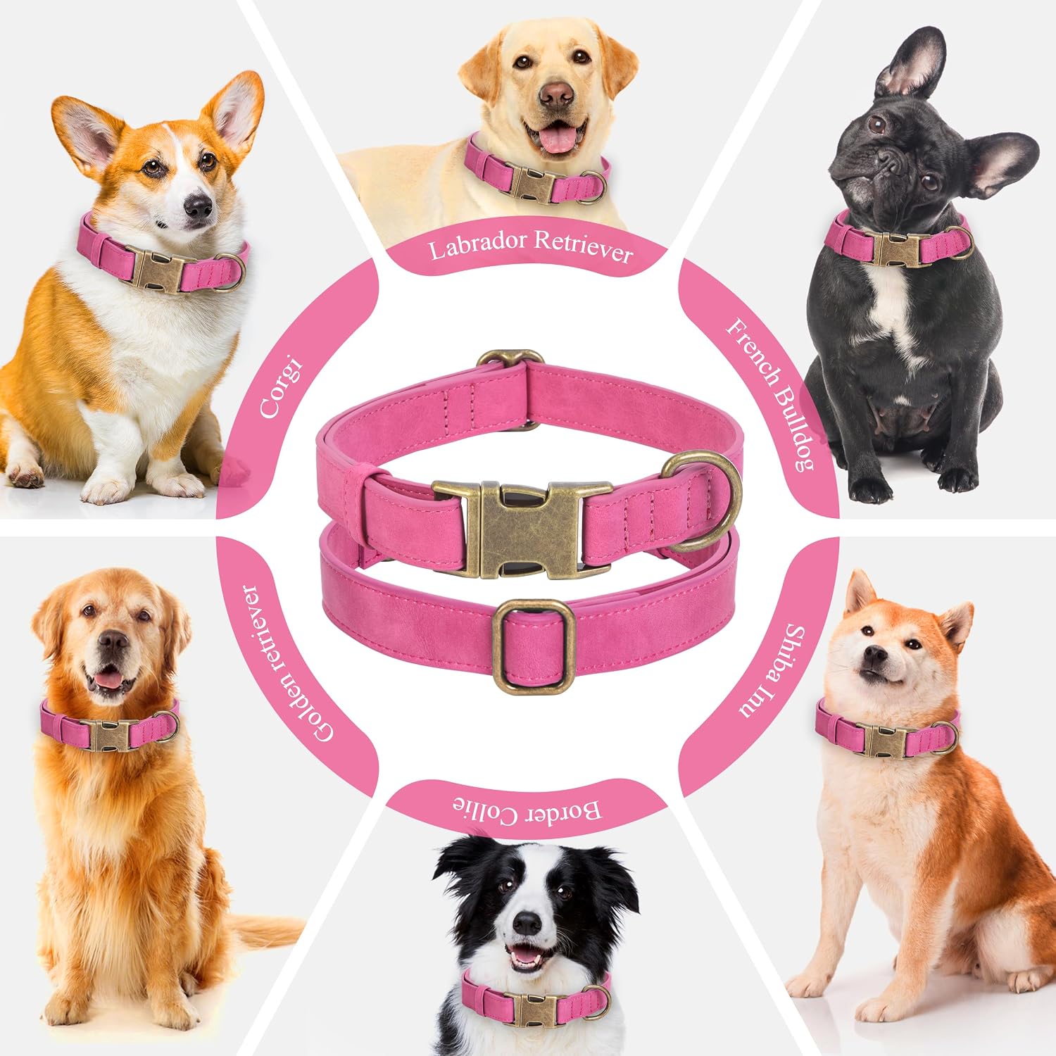 Detalle de Jumpress Dog Collar, 10–14-Inch