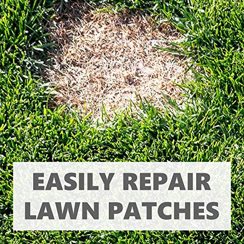 Thumbnail 3 de Grow Pure Grass Seed (1kg) — Quick Patch and New Lawn Solution, UK Climate