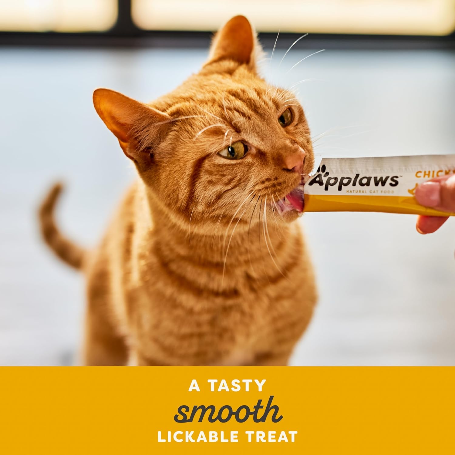 Thumbnail 4 de Applaws Chicken Creamy Lickable Cat Treats: Grain-Free Chicken Purée for Cats and Kittens (32 x 15g)