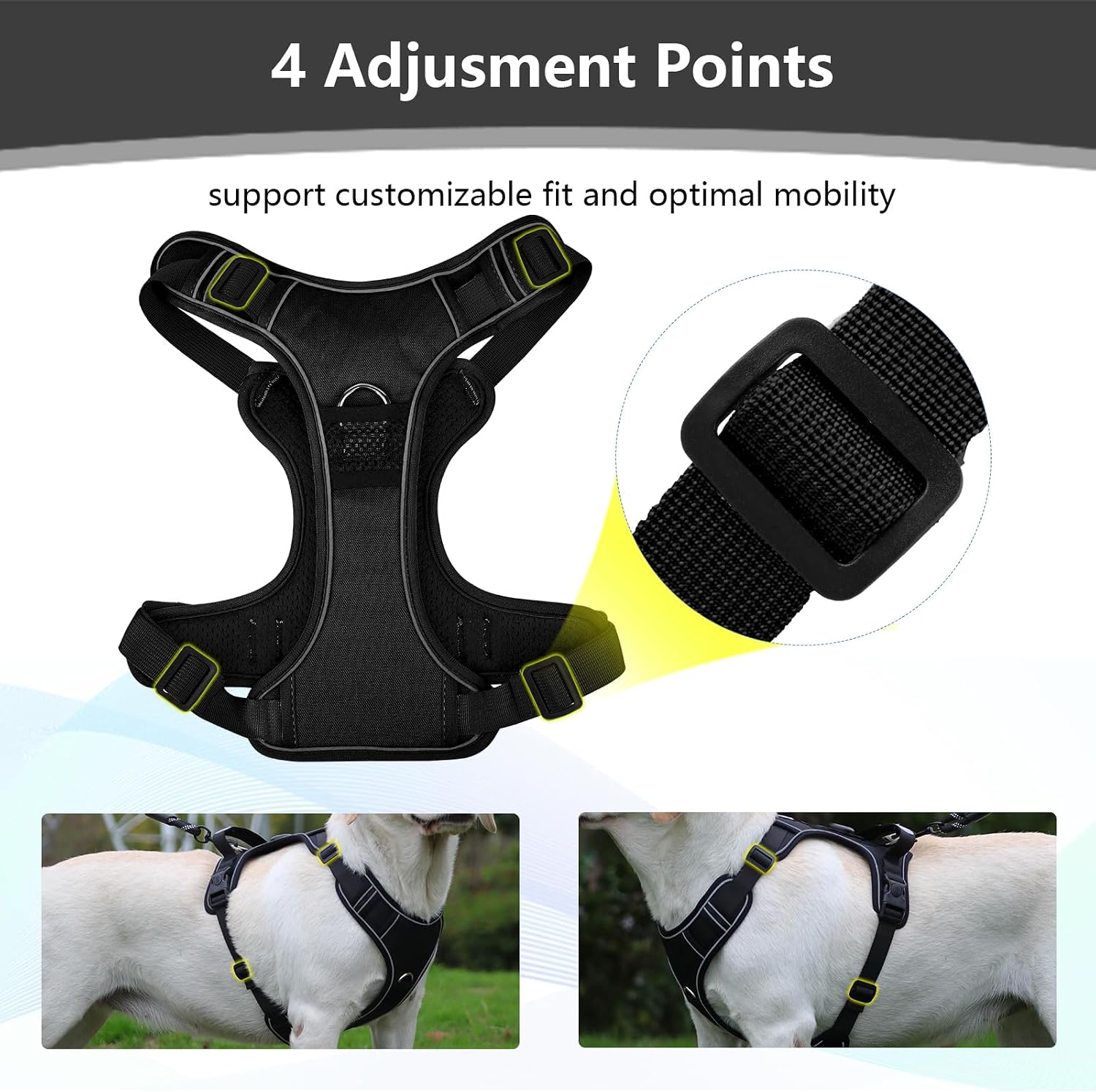 Detalle 2 de Dog Harness, M