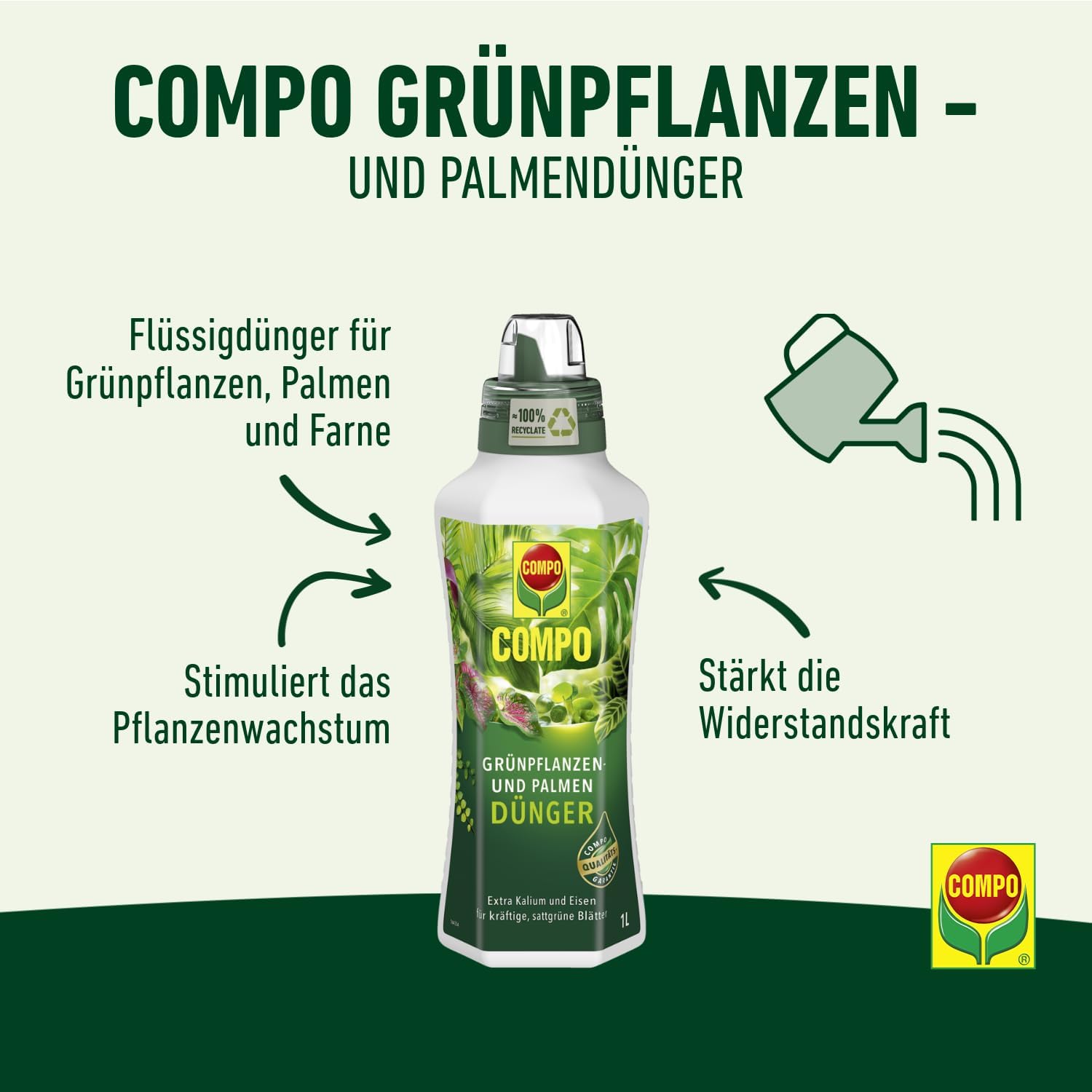 Detalle de COMPO Grünpflanzen- und Palmendünger Spezial-Flüssigdünger, 1 Liter – Zimmer-, Balkon- und Terrassenpflanzen