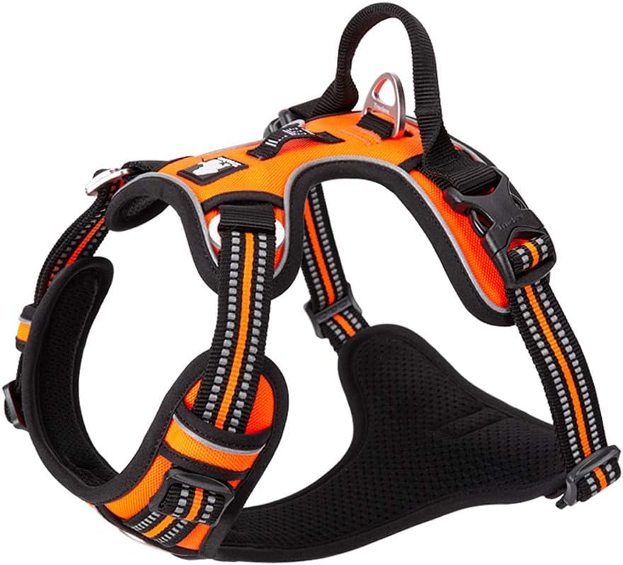 Detalle de TLH56512 XS Dog Harness No Pull Reflective