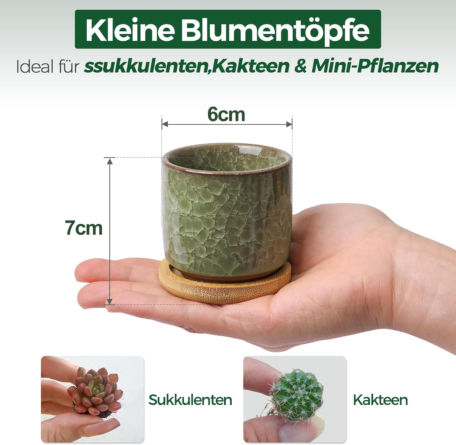 Thumbnail 1 de T4U Keramik Sukkulententopf 6,3 cm Set