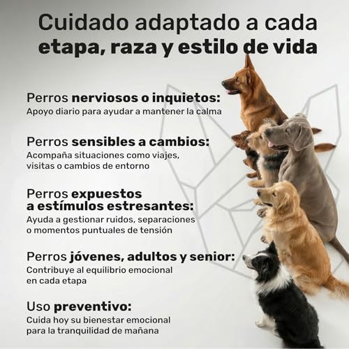 Thumbnail 6 de natuva pets Calmante para Perros - 120 Masticables con L-Triptófano, Ashwagandha, Magnesio, Melisa y Valeriana