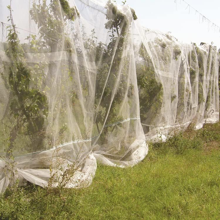 Thumbnail 6 de Aoipend A-16 Fine Mesh Garden Netting, 8'x16' PE Crop Cover