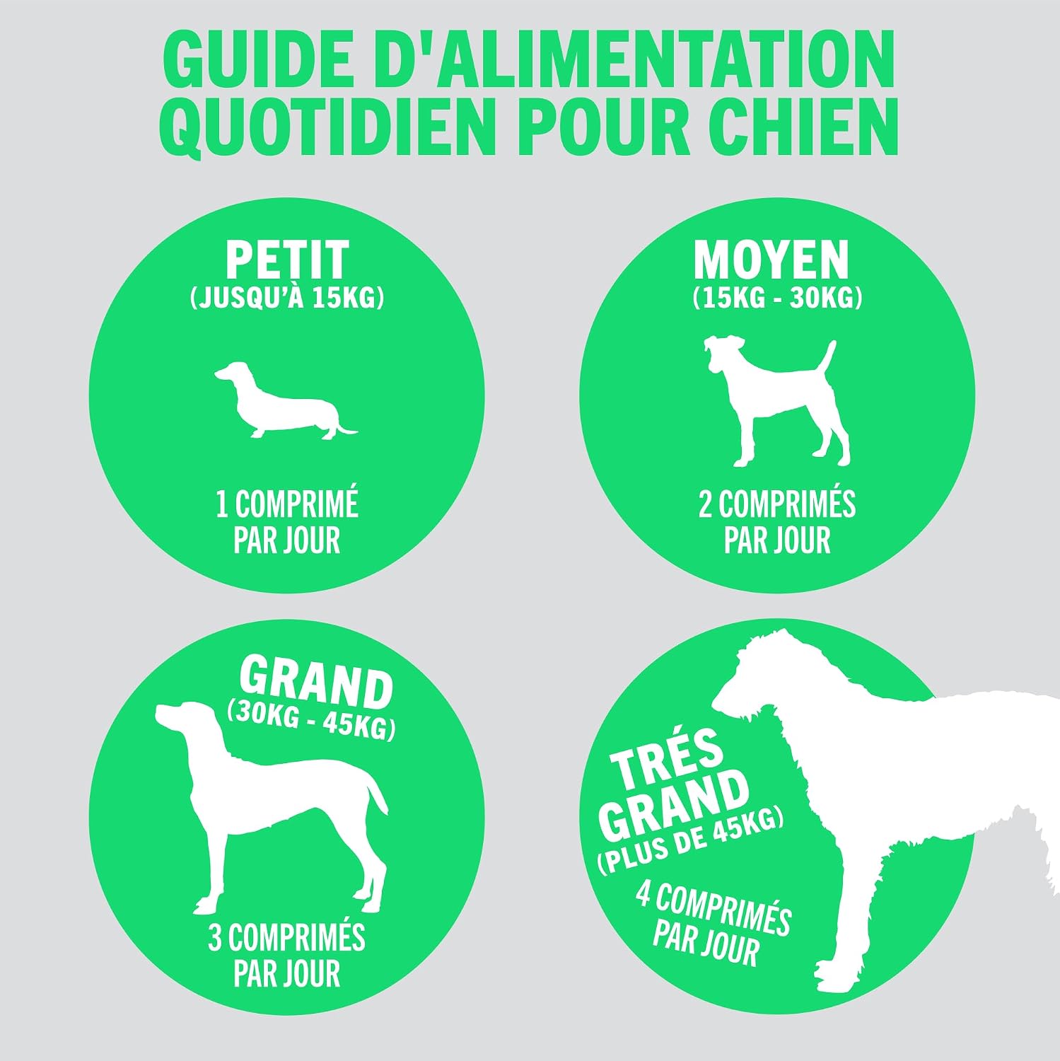 Detalle 2 de JOINTSURE Compléments d'articulation pour chiens – Moule verte, glucosamine et chondroïtine, 120 comprimés