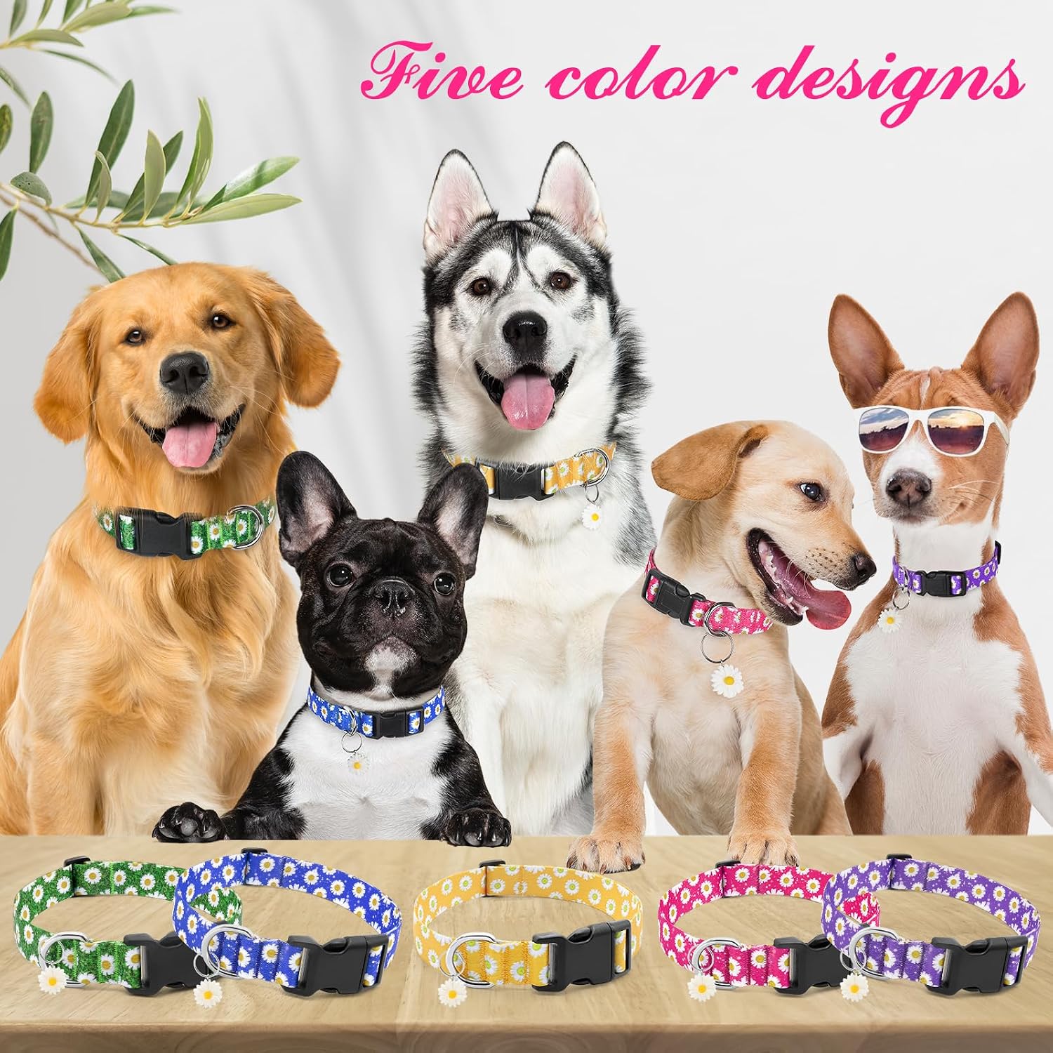 Thumbnail 6 de BiPawTi Dog Collar, XL