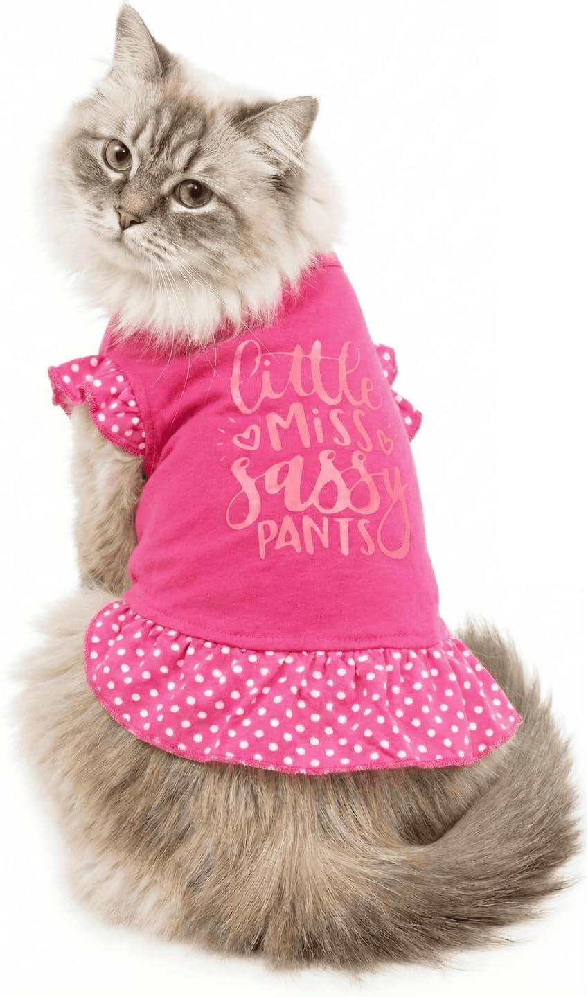 Detalle 2 de Dog Dress, Large