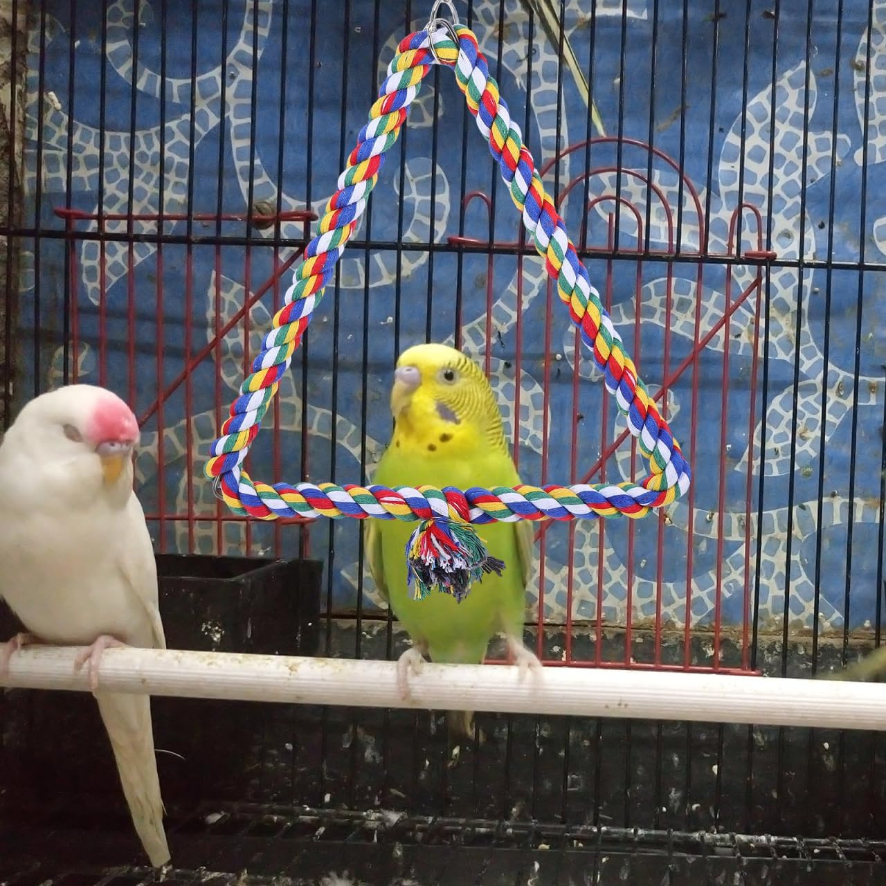 Detalle 2 de POPETPOP Bird Swing: Triangle Cotton Rope Toy for Small Parrots
