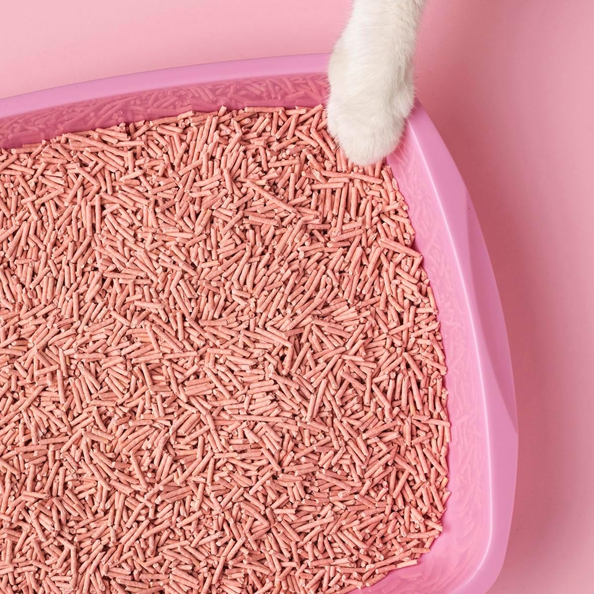 Detalle de Cat&Rina BeNatural Tofu klumpende Katzenstreu, 5,5 l (pflanzlich & kompostierbar), 3 Stück