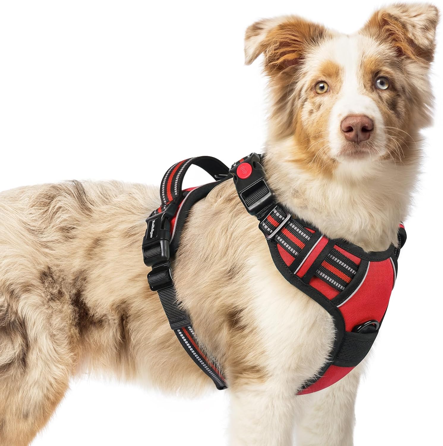 Detalle de Mittelgroßes rabbitgoo Hundegeschirr rot M