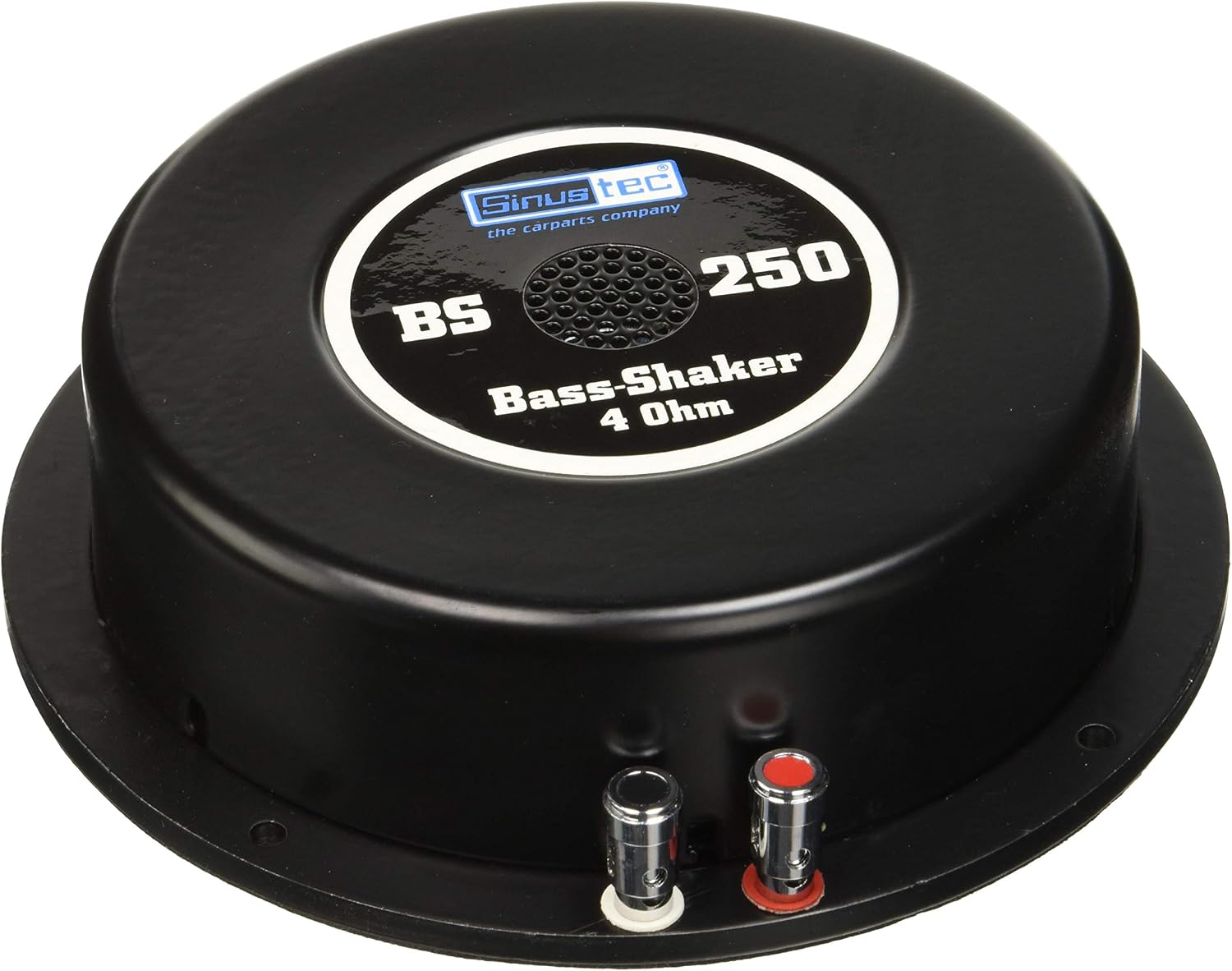 Detalle 2 de Reckhorn Haut-Parleur excitateur 200 W Sinustec St-BS 250 4 Ω