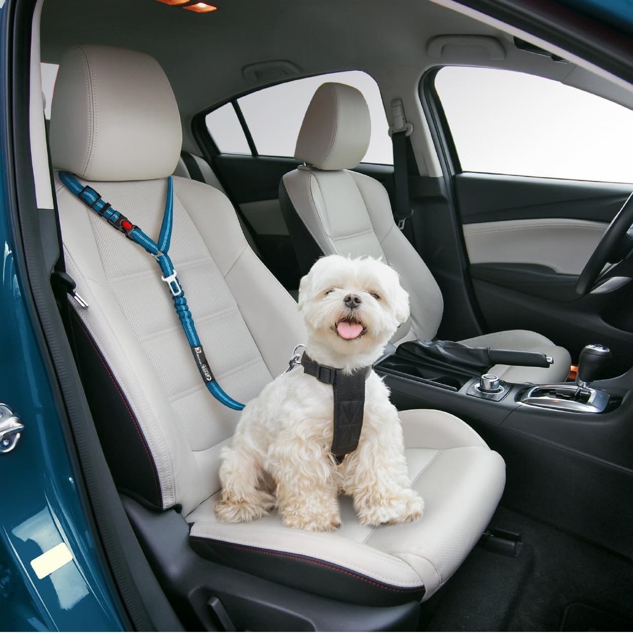 Detalle de Petzana Comfortable Dog Seat Belt Harness (2-in-1 leash & headrest restraint) – Blue