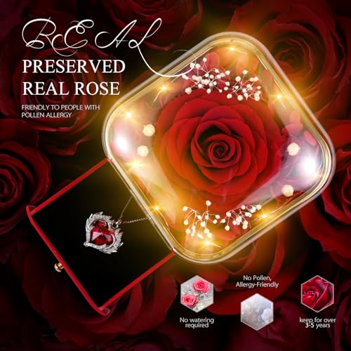 Detalle de GOICC Rosa Eterna: Regalos Originales para Mujer con Collar y Rosa Roja Estabilizada