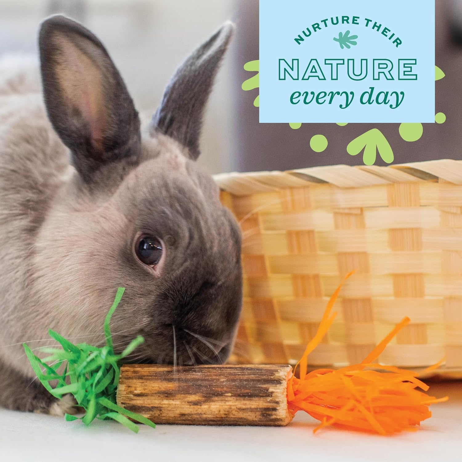 Detalle de Oxbow Enriched Life Pack Fête d'anniversaire – Jouets d'enrichissement pour lapins et petits animaux