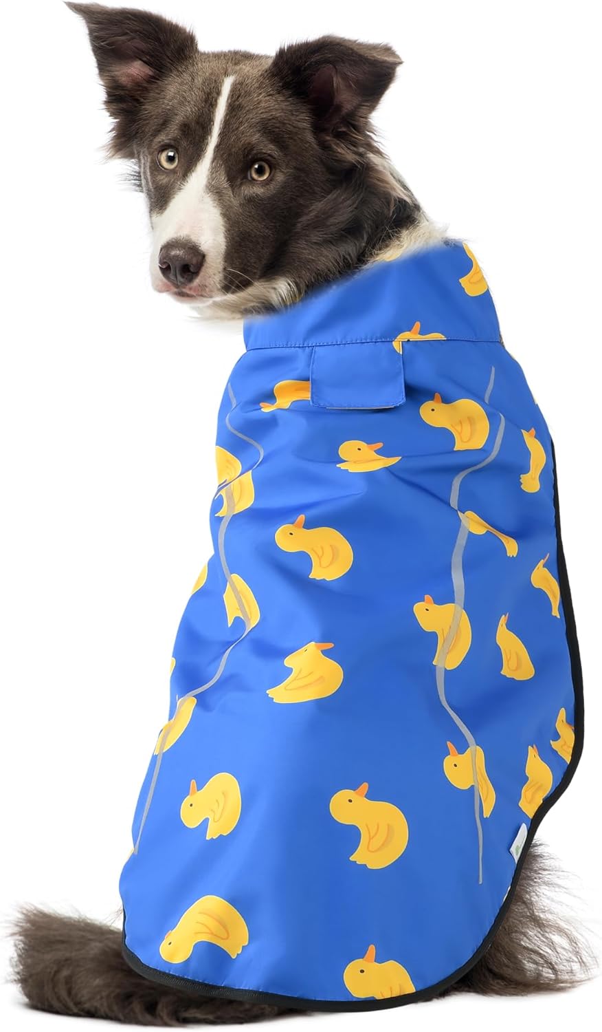 Detalle de Mile High Life Dog Raincoat (Blue Duck, Small): Adjustable Waterproof Jacket for Small Dogs