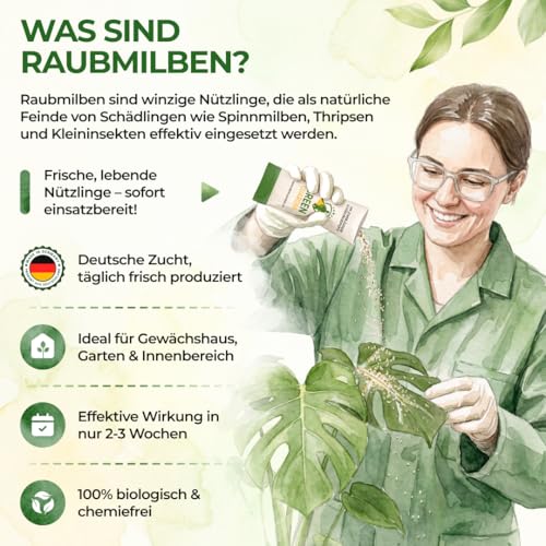 Detalle de GREEN GUARDIA Power Raubmilben gegen Thripse – 15x Tüten