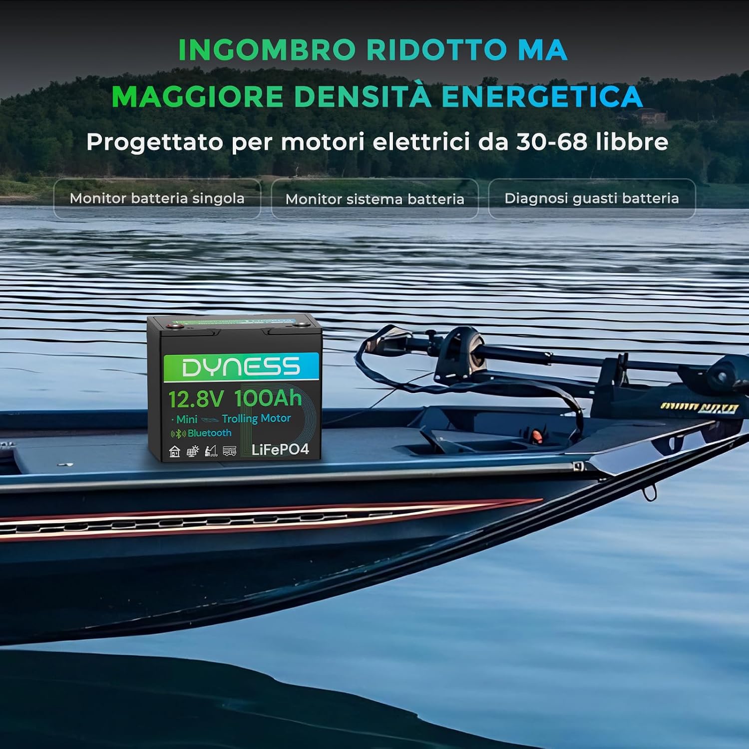 Detalle de Dyness Batteria LiFePO4 12V 100Ah Bluetooth: autonomia affidabile per nautica, camper e impianti solari off-grid