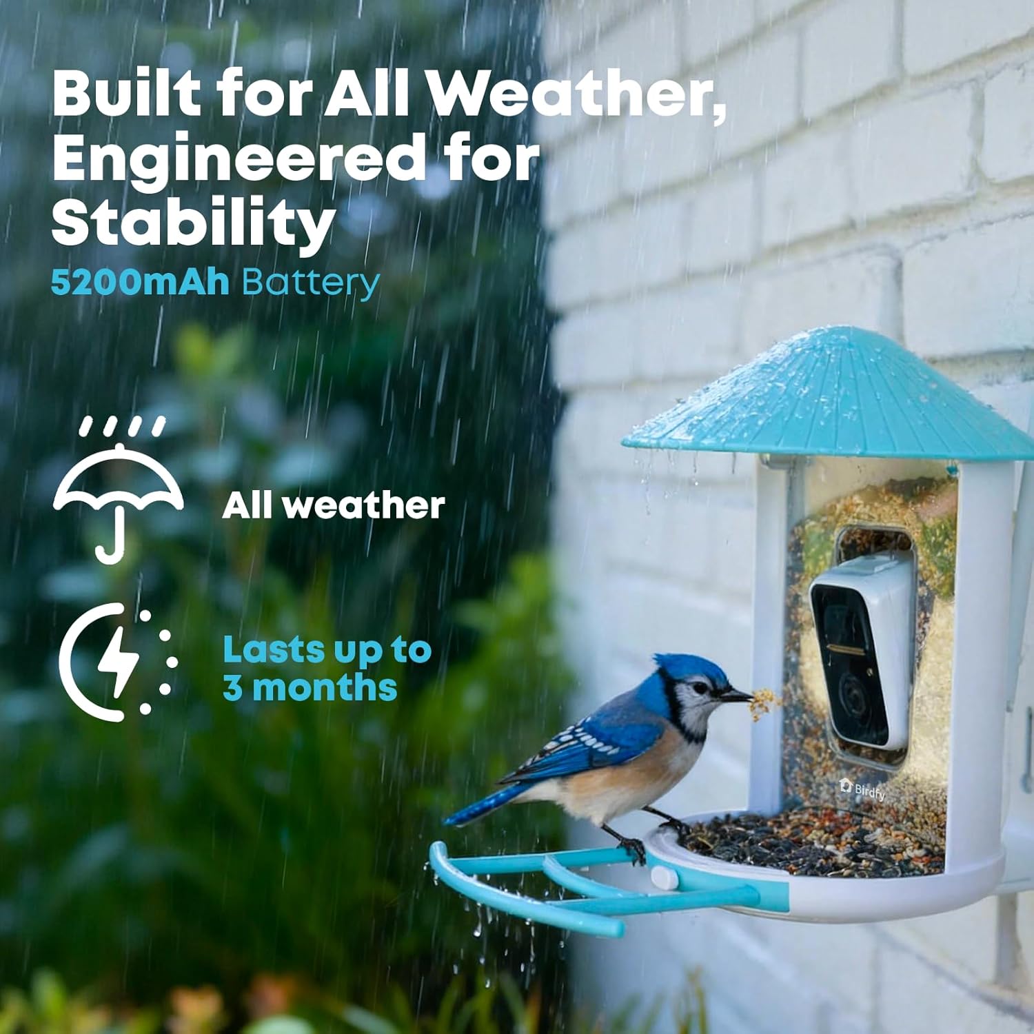 Thumbnail 5 de NETVUE by Birdfy Smart Bird Feeder with AI Camera