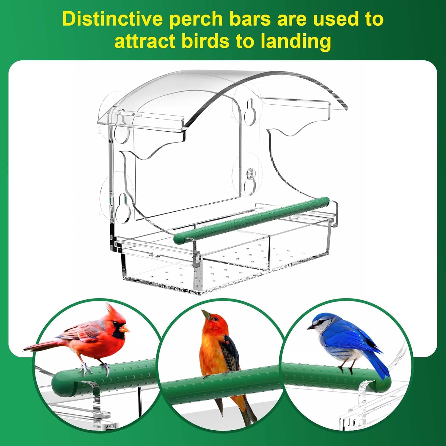 Thumbnail 2 de BPYOT Acrylic Window Bird Feeder with 4 suction cups 🐦