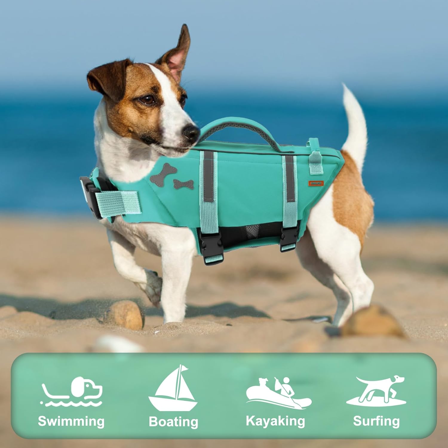 Thumbnail 5 de EMUST Dog Life Vest for Swimming (Turquoise, Size L)