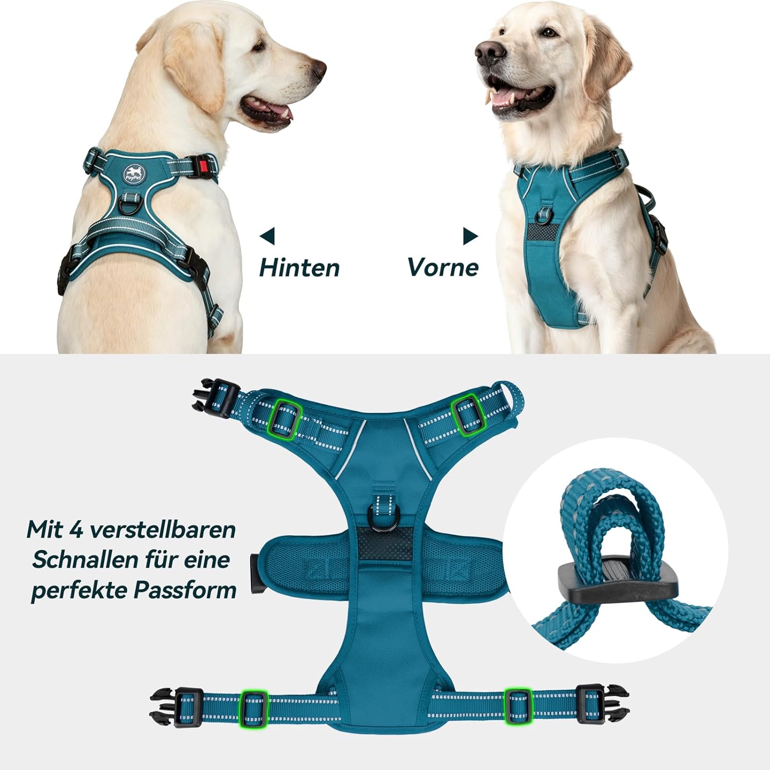 Thumbnail 4 de PoyPet Hundegeschirr Tumalo Teal M, reflektierend
